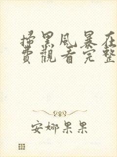 扫黑风暴在线免费观看完整版封面