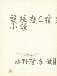 系统想C宿主的小说