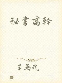 秘书高干封面
