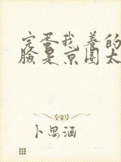 完蛋我养的小白脸是京圈太子爷短剧