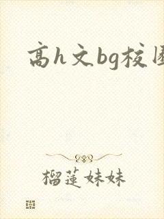 高h文bg校园