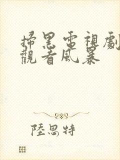 扫黑电视剧在线观看风暴