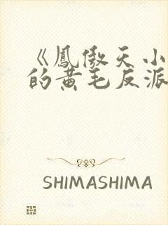《凤傲天小说里的黄毛反派也想幸福》
