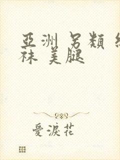 亚洲 另类 丝袜 美腿