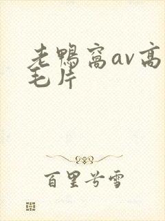 老鸭窝av高清毛片