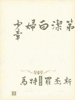 少妇白洁第二十章