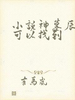 小说神墓辰东哪可以找到封面