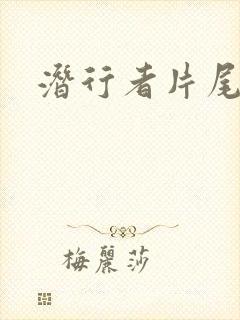 潜行者片尾曲