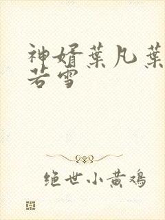 神婿叶凡叶凡唐若雪