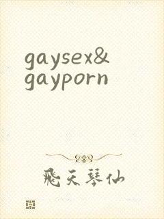 gaysex&gayporn