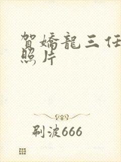 贺娇龙三任丈夫照片