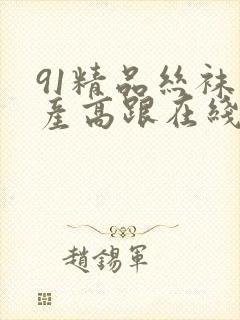 91精品丝袜国产高跟在线