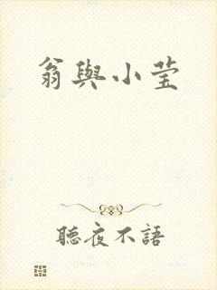 翁与小莹封面