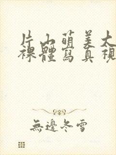 书籍封面