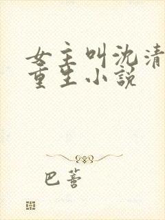 女主叫沈清漓的重生小说