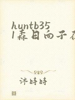 huntb351森日向子在线播放