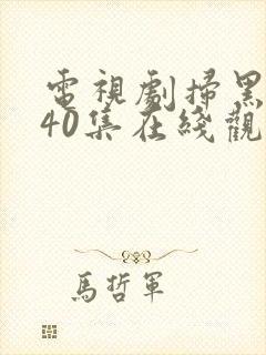 电视剧扫黑风暴40集在线观看免费