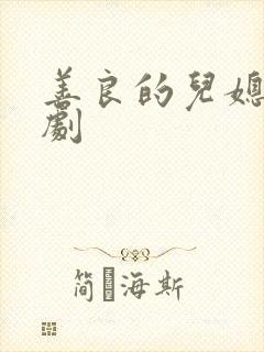善良的儿媳妇日剧封面