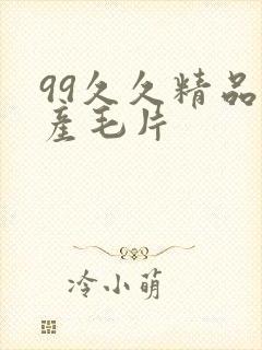 99久久精品国产毛片