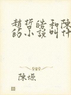 赵哲皓和陈轻柔的小说叫什么