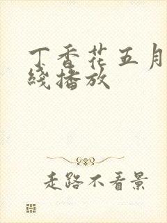 丁香花五月天在线播放