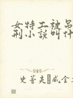 女特工被吊起用刑小说叫什么名字