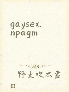 gaysex.npagm