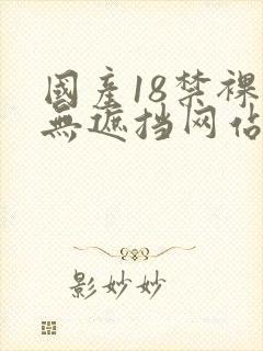 国产18禁裸体无遮挡网站