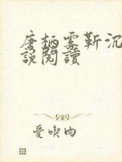 唐栖雾靳沉野小说阅读封面