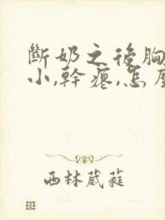 断奶之后胸部变小,干瘪,怎么恢复