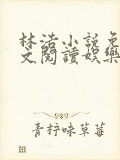 林浩小说免费全文阅读娱乐圈教父封面