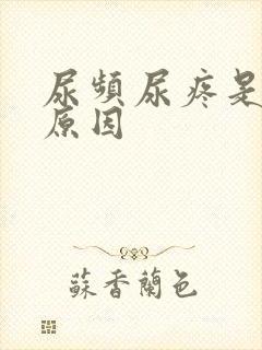 尿频尿疼是什么原因
