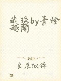藏珠by青灯笔趣阁封面