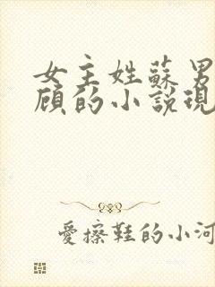 女主姓苏男主姓顾的小说现代言情