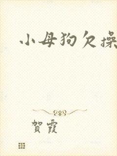 小母狗欠操