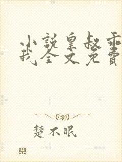 小说皇叔乖乖宠我全文免费阅读封面
