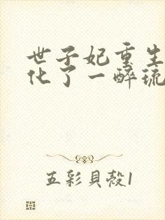 世子妃重生后黑化了一醉琉月