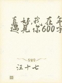 真好,我在年少遇见你600字