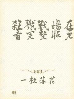 杀戮战场在线观看完整版免费