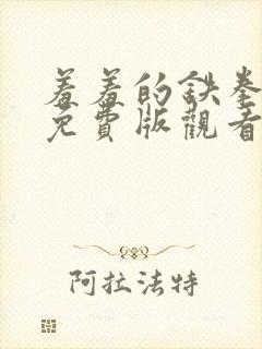 羞羞的铁拳电影免费版观看封面