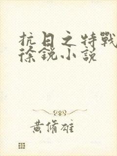 抗日之特战兵王徐锐小说