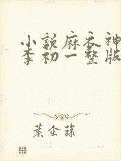 小说麻衣神算子李初一整版全文下载封面