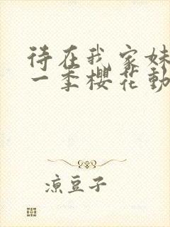 待在我家妹妹第一季樱花动漫封面