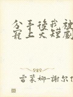 分手后我被陆总宠上天短剧在线观看