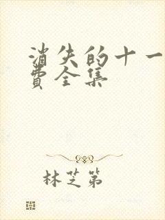 消失的十一层免费全集