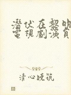 潜伏在黎明之前电视剧演员表封面