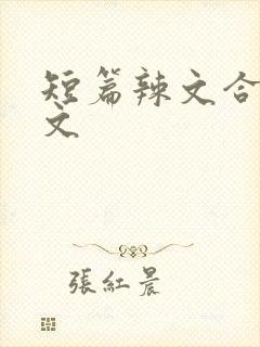 短篇辣文合集h文