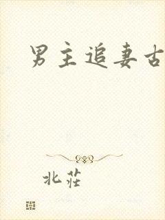 男主追妻古言