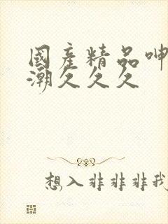 国产精品呻吟高潮久久久