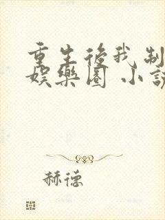 重生后我制霸了娱乐圈 小说